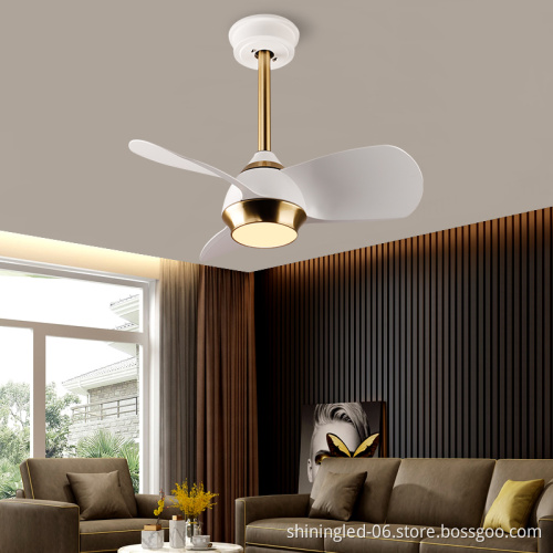 SLYNN European Modern Decorative Ceiling Fan with Light